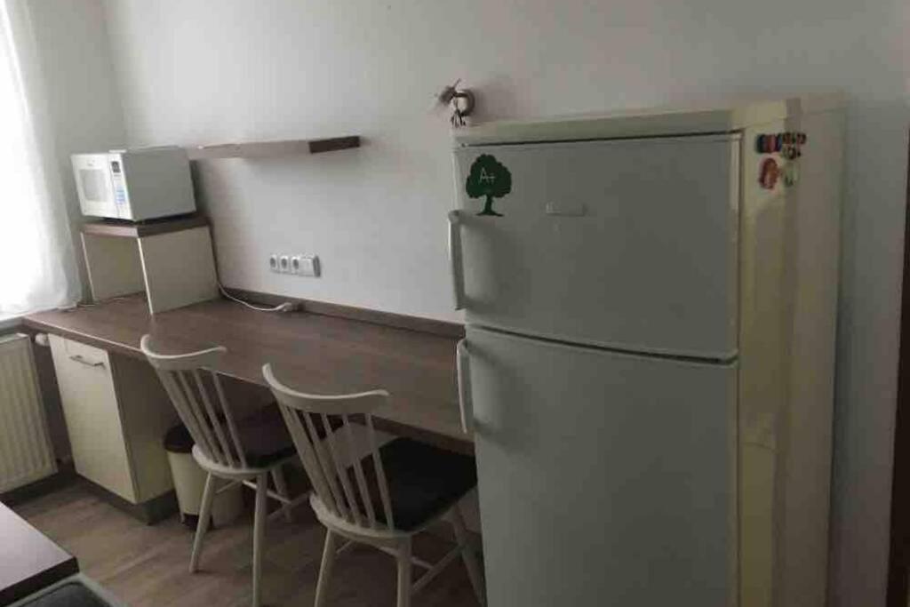 Family Apartment With Garden And Parking Spot Ceske Budejovice Exterior foto